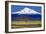 Shasta County Spring-Douglas Taylor-Framed Photo