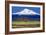 Shasta County Spring-Douglas Taylor-Framed Photo