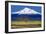 Shasta County Spring-Douglas Taylor-Framed Photo