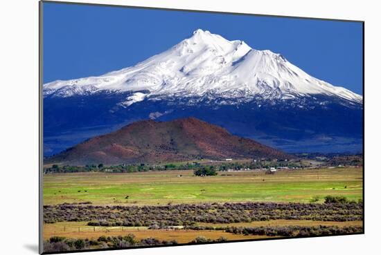 Shasta County Spring-Douglas Taylor-Mounted Photo