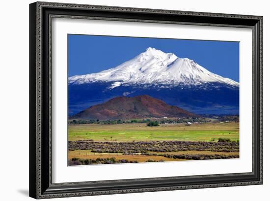 Shasta County Spring-Douglas Taylor-Framed Photo