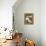 Shasta Daisies (Leucanthemum X Superbum)-Maria Mosolova-Framed Premier Image Canvas displayed on a wall
