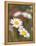 Shasta Daisies (Leucanthemum X Superbum)-Maria Mosolova-Framed Premier Image Canvas