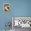 Shasta Daisies (Leucanthemum X Superbum)-Maria Mosolova-Framed Premier Image Canvas displayed on a wall