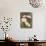 Shasta Daisies (Leucanthemum X Superbum)-Maria Mosolova-Photographic Print displayed on a wall