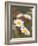 Shasta Daisies (Leucanthemum X Superbum)-Maria Mosolova-Framed Photographic Print