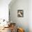 Shasta Daisies (Leucanthemum X Superbum)-Maria Mosolova-Mounted Photographic Print displayed on a wall