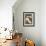 Shasta Daisies (Leucanthemum X Superbum)-Maria Mosolova-Framed Photographic Print displayed on a wall