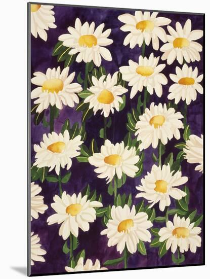Shasta Daisies-Mary Russel-Mounted Giclee Print