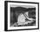Shasta Dam-Andreas Feininger-Framed Photographic Print