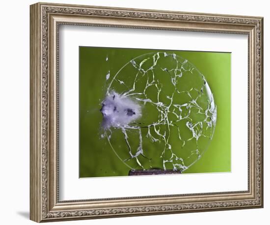 Shattered Glass-Alan Sailer-Framed Photographic Print