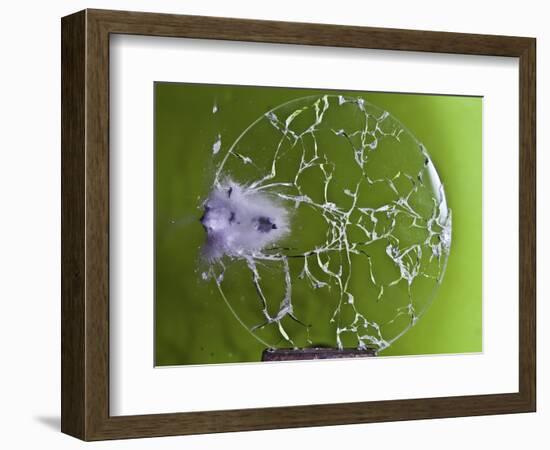 Shattered Glass-Alan Sailer-Framed Photographic Print