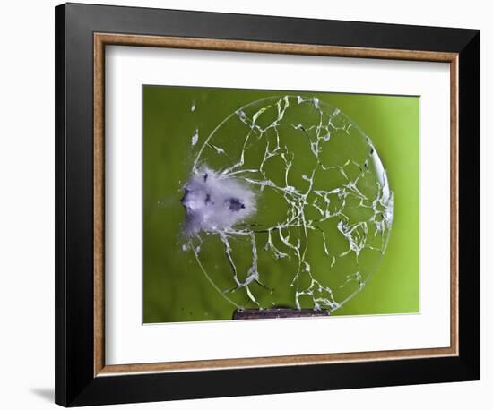 Shattered Glass-Alan Sailer-Framed Photographic Print