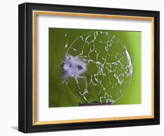 Shattered Glass-Alan Sailer-Framed Photographic Print