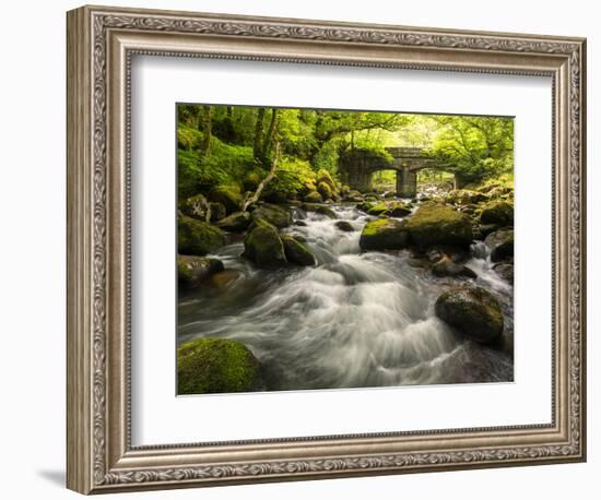 Shaugh Bridge, near Plympton, Dartmoor NP, Devon, UK-Ross Hoddinott-Framed Photographic Print