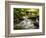 Shaugh Bridge, near Plympton, Dartmoor NP, Devon, UK-Ross Hoddinott-Framed Photographic Print