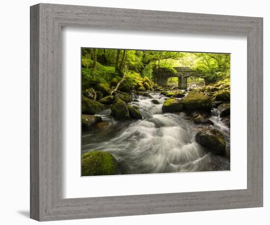 Shaugh Bridge, near Plympton, Dartmoor NP, Devon, UK-Ross Hoddinott-Framed Photographic Print