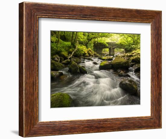 Shaugh Bridge, near Plympton, Dartmoor NP, Devon, UK-Ross Hoddinott-Framed Photographic Print