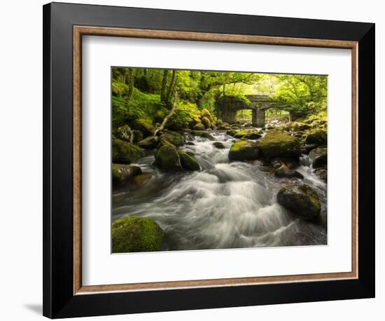 Shaugh Bridge, near Plympton, Dartmoor NP, Devon, UK-Ross Hoddinott-Framed Photographic Print