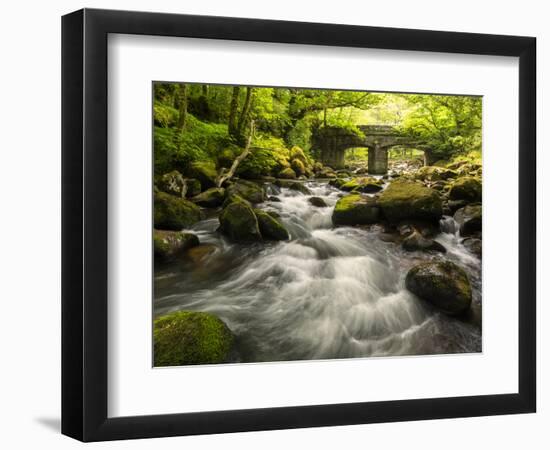 Shaugh Bridge, near Plympton, Dartmoor NP, Devon, UK-Ross Hoddinott-Framed Photographic Print