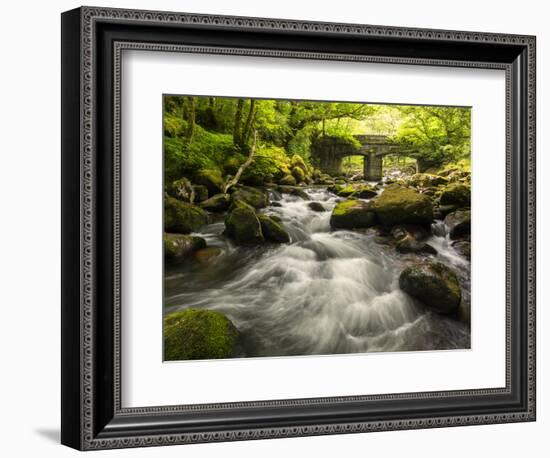 Shaugh Bridge, near Plympton, Dartmoor NP, Devon, UK-Ross Hoddinott-Framed Photographic Print