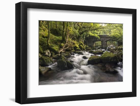 Shaugh Prior, bridge and River Plym, Dartmoor NP, Devon, UK-Ross Hoddinott-Framed Photographic Print