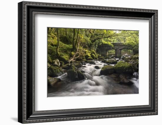 Shaugh Prior, bridge and River Plym, Dartmoor NP, Devon, UK-Ross Hoddinott-Framed Photographic Print