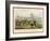 Shavington Day a Trial Between Rival Packs and Horsemen-Edward Duncan-Framed Art Print