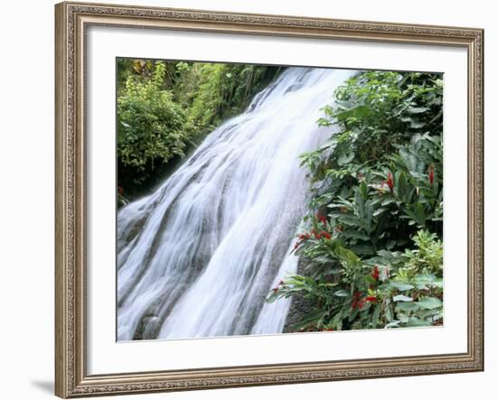 Shaw Waterfalls, Ocho Rios, Jamaica, West Indies, Central America-Sergio Pitamitz-Framed Photographic Print