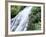 Shaw Waterfalls, Ocho Rios, Jamaica, West Indies, Central America-Sergio Pitamitz-Framed Photographic Print