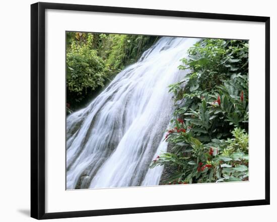 Shaw Waterfalls, Ocho Rios, Jamaica, West Indies, Central America-Sergio Pitamitz-Framed Photographic Print