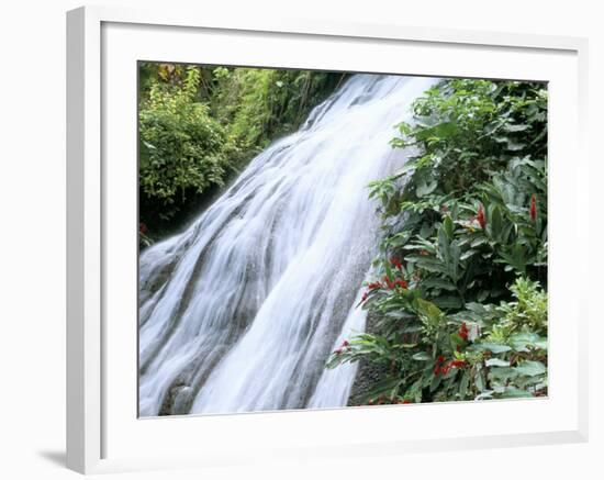 Shaw Waterfalls, Ocho Rios, Jamaica, West Indies, Central America-Sergio Pitamitz-Framed Photographic Print