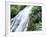 Shaw Waterfalls, Ocho Rios, Jamaica, West Indies, Central America-Sergio Pitamitz-Framed Photographic Print