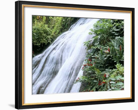 Shaw Waterfalls, Ocho Rios, Jamaica, West Indies, Central America-Sergio Pitamitz-Framed Photographic Print