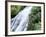 Shaw Waterfalls, Ocho Rios, Jamaica, West Indies, Central America-Sergio Pitamitz-Framed Photographic Print