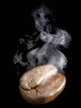 A Freshly Roasted Coffee Bean with Steam-Shawn Hempel-Photographic Print