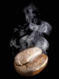 A Freshly Roasted Coffee Bean with Steam-Shawn Hempel-Framed Photographic Print