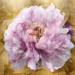 Peonies I-Shawna Sullivan-Art Print