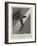 She, a History of Adventure-Edward Killingworth Johnson-Framed Giclee Print