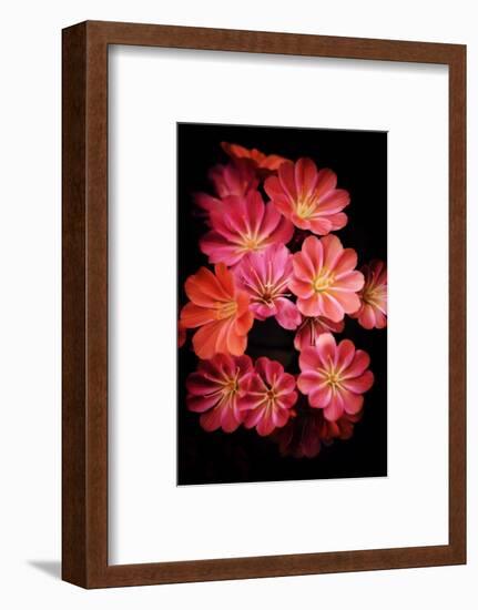 She Loves Me for Me-Philippe Sainte-Laudy-Framed Photographic Print
