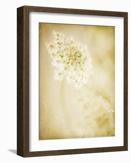 She Wore Lace 2-Jessica Rogers-Framed Giclee Print