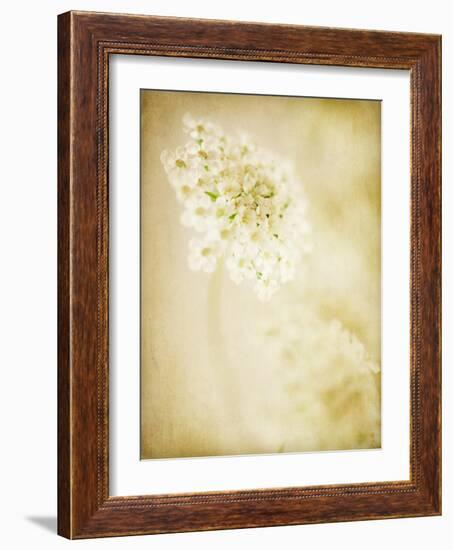 She Wore Lace 2-Jessica Rogers-Framed Giclee Print