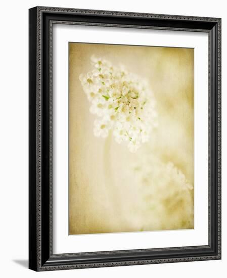 She Wore Lace 2-Jessica Rogers-Framed Giclee Print