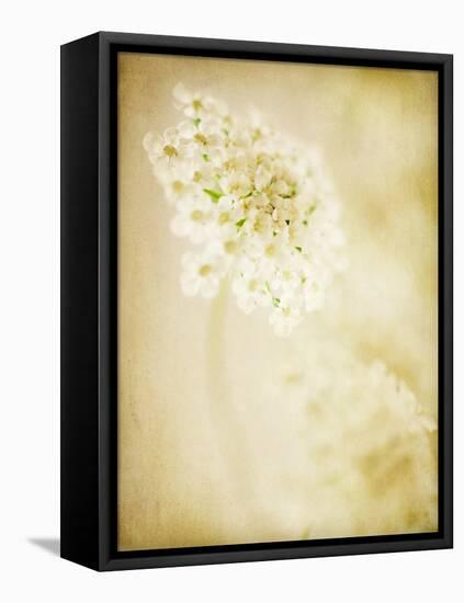 She Wore Lace 2-Jessica Rogers-Framed Premier Image Canvas