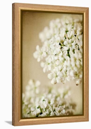 She Wore Lace-Jessica Rogers-Framed Premier Image Canvas