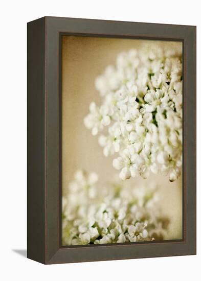 She Wore Lace-Jessica Rogers-Framed Premier Image Canvas