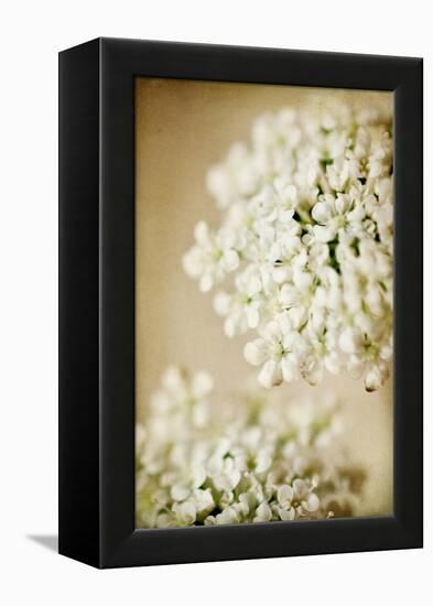 She Wore Lace-Jessica Rogers-Framed Premier Image Canvas