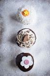 Three Different Cupcakes, Coconut, Peanut Butter And Chocolate Arranged In A Line On A Sifted Flour-Shea Evans-Photographic Print
