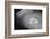 Shea Stadium during Beatles Concert-null-Framed Photographic Print