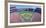 Shea Stadium, Ny Mets V. Sf Giants, New York-null-Framed Photographic Print